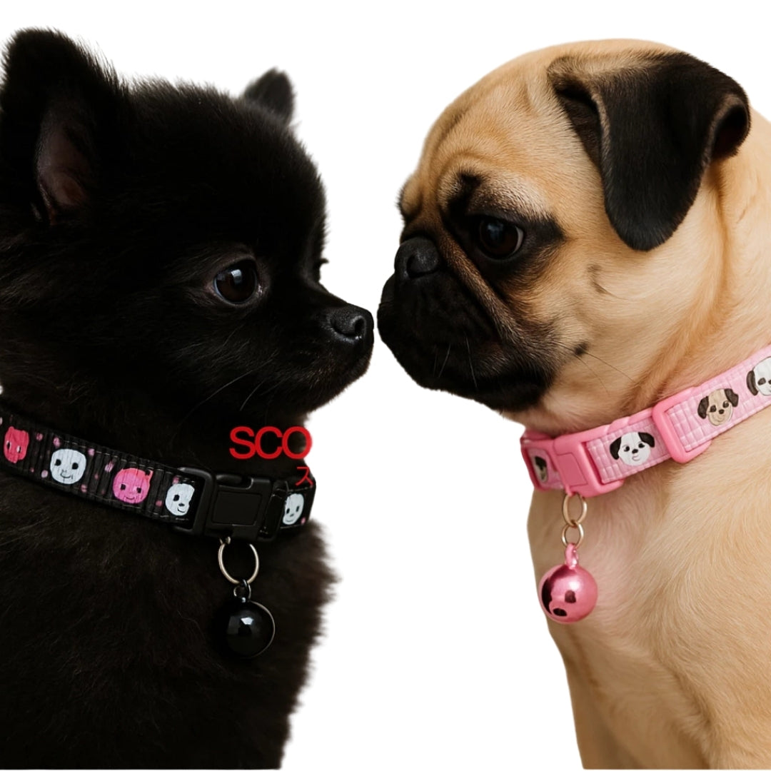 Kalung Anjing Kucing Anabul