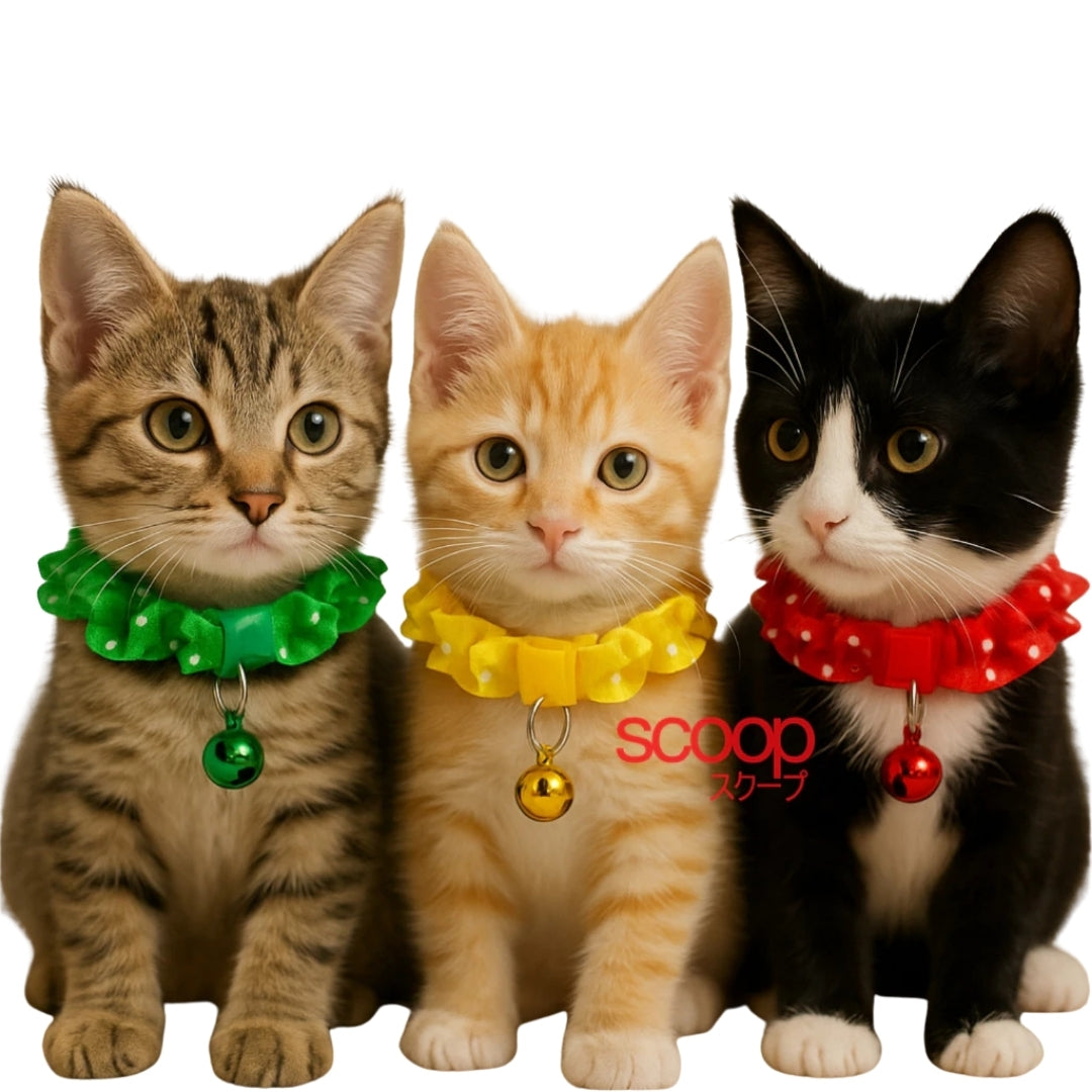 Kalung Premium Kucing Anabul