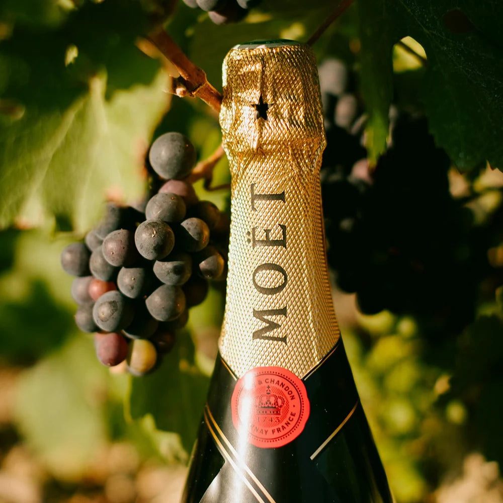 Moet & Chandon Brut Imperial 750ml